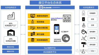 摩貝ceo常東亮 三流合一 打造化學(xué)品行業(yè)生態(tài)圈
