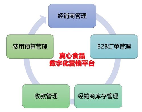 真心品質 數(shù)字管理 真心食品數(shù)智化升級之路
