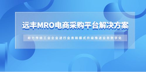 遠(yuǎn)豐案例丨為其搭建b2b商城,推進(jìn)業(yè)務(wù)數(shù)字化